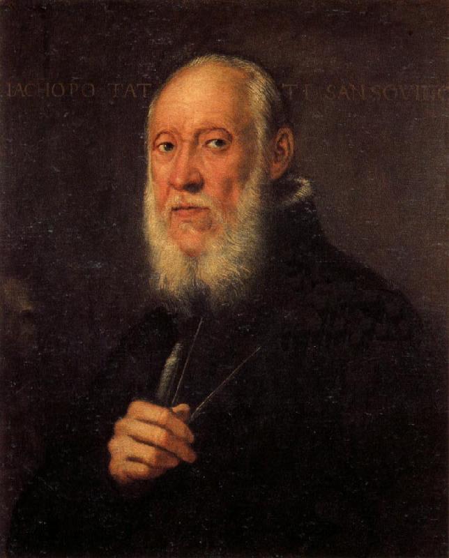 Jacopo Tintoretto Portrait of Jacopo Sansovino oil painting image